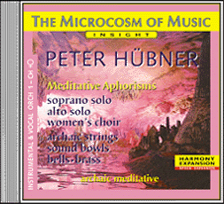 Peter Hübner - The Microcosm of Music