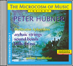 Peter Hübner - The Microcosm of Music