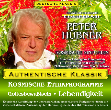 Peter Hübner - Bewußtsein 6
