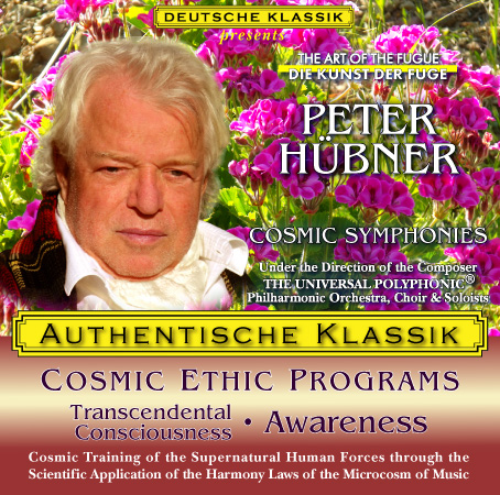 Peter Hübner - Consciousness 7