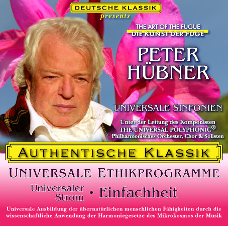Peter Hübner - Universaler Strom