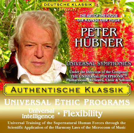 Peter Hübner - Universal Intelligence