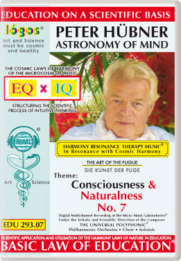 Peter Hübner - Consciousness and Naturalness No. 7